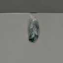 TEZER Wireless Mouse for Laptop, 2.4G Portable Computer Mouse, Ergonomic Design, USB Receiver, for Laptop, PC, Computer, Chromebook, Notebook, (BLACK3)