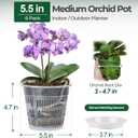 T4U Orchid Pot, 6 Pack 5.5 Inch Clear Orchid Pots with Holes and Saucers for Repotting, Plastic Flower Plant Pot with Drainage for Indoor Outdoor Plants, Slotted Orchids Planter for Root Health
