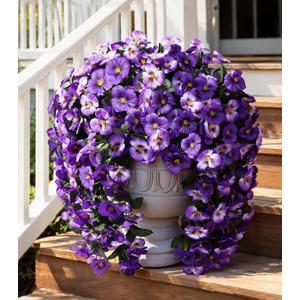 HyeFlora Artificial Flowers for Outdoors, 2pcs Faux Silk Pansies Flowers UV Resistant Fake Hanging Flower Plants for Outside Planters Porch Yard Patio Window Box (Mix Purple)