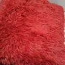 DETUM Wine Red Rug 4x6 Rugs for Bedroom Fluffy Christmas Area Rug Soft Living Room Shag Rug Large Furry Rug Washable and Non Slip Carpets Modern Home Decoration
