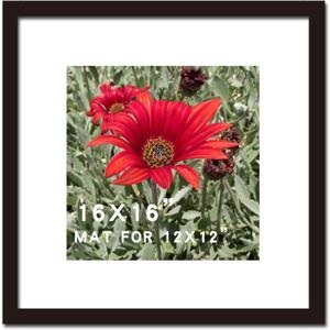 16x16 Picture Frame Black Solid Wood for Mat 12x12 Wall Mounting Square Poster Photo Frames