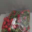 50 PCS Fake Red Roses, Artificial Red Flowers Bulk Realistic Silk Faux Rose with Stems for Wedding Decoration Anniversary Bridal Bouquet DIY Floral Arrangement Romantic Home Decor Gifts