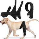 Dog Knee Brace for Hind & Rear Legs,Adjustable Dogs Compression Brace with Joint Instability, Torn ACL, Limping or Osteoarthritis - Reduces Pain and Inflammation,Post Surgery Care Recovery-Black (S)