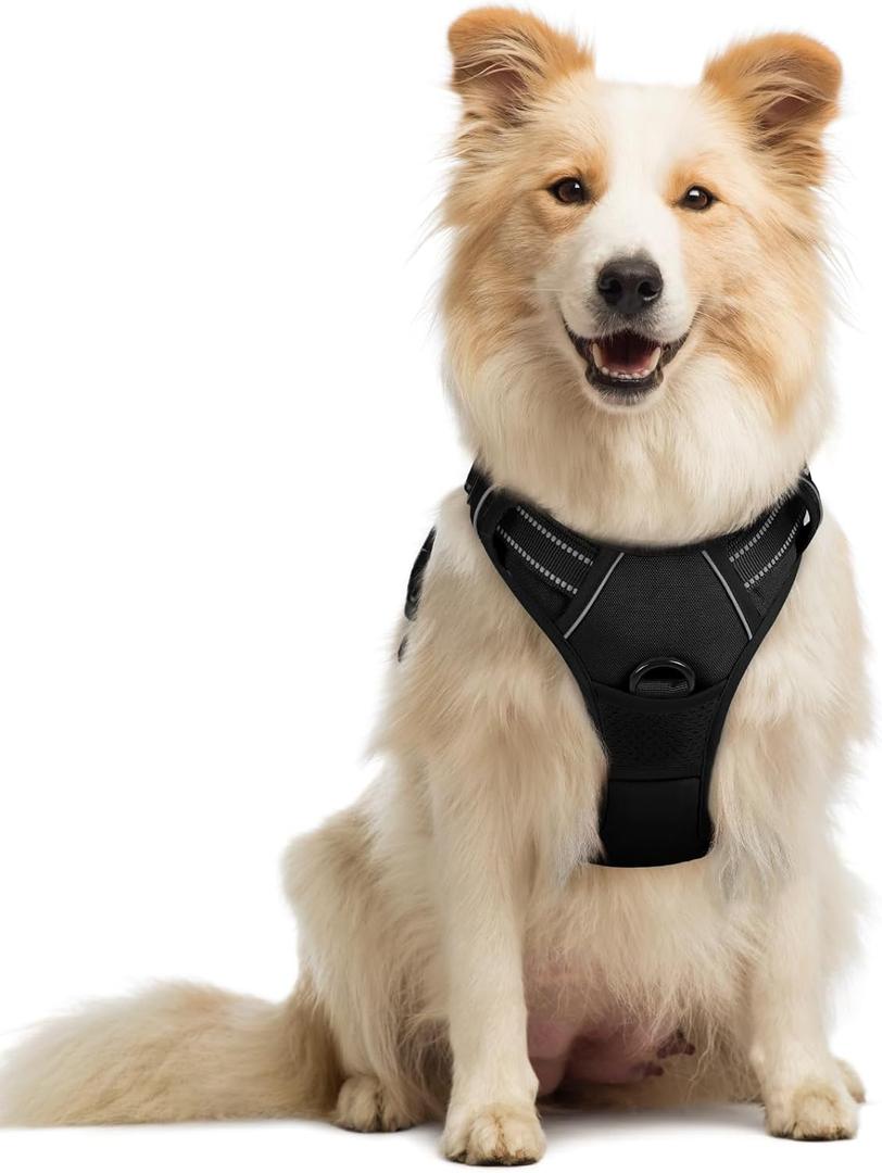 rabbitgoo Dog Harness No Pull with 2 Leash Clips, Adjustable Soft Padded, Reflective Oxford No Choke Pet Vest with Easy Control Handle for Medium Sized Dogs, Black, M