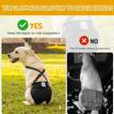 3 Pack Avont Washable Female Dog Diaper with Suspender, Reusable Girl Doggie Diapers for Small Medium Large Doggy in Heat Cycle Period Incontinence -XL