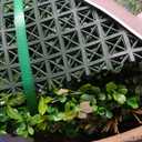 20"x20" (12 Pieces) Artificial Boxwood Greenery Grass Wall Panels