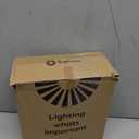 Spider Accessory Bag for Boys and Girls Halloween Spider Backpack Realistic Legs for Trick-treating and Costume Parties Straps Flexible Design