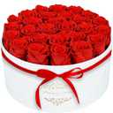 17 Forever Flowers in a Luxury Suede Box, Preserved Roses Birthday Gifts for Women, Romantic Anniversary Mothers Day Gifts for Mom Her Girlfriend Wife Grandma, Red