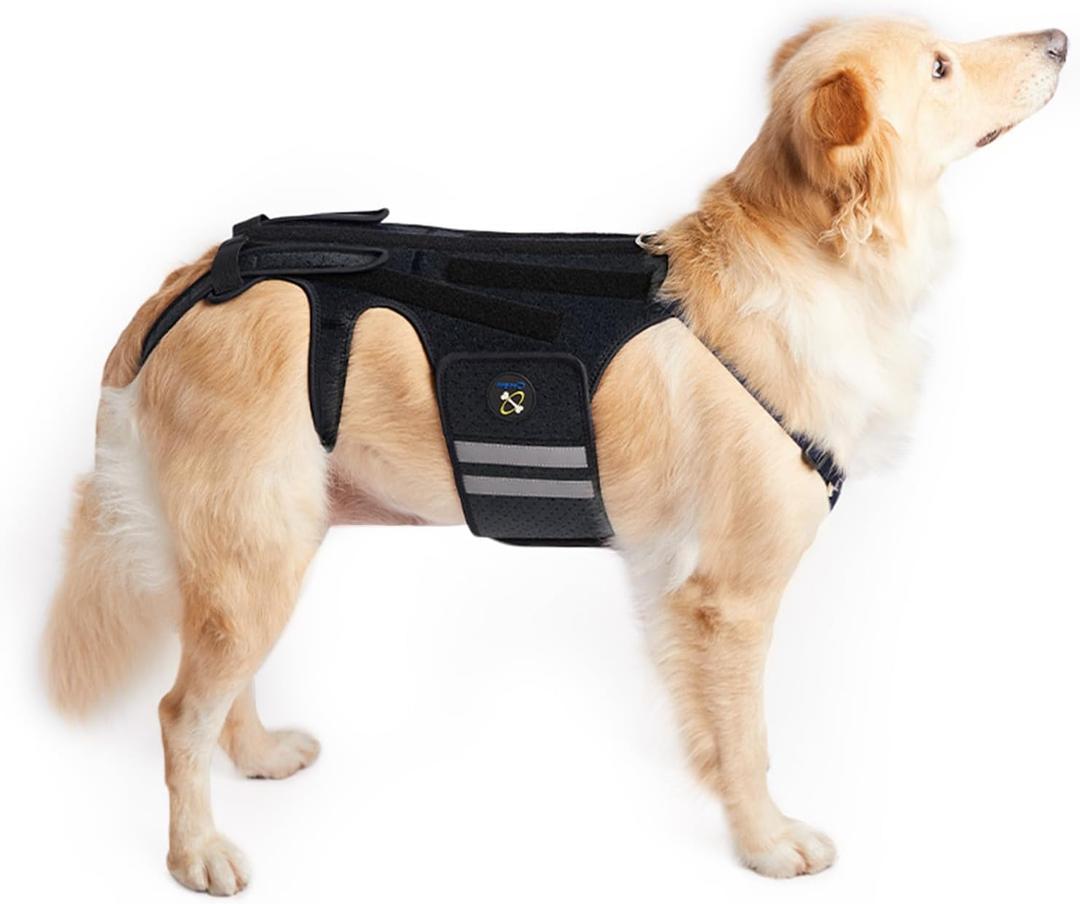 Coodeo Dog Back Brace for Dogs Arthritis, Pet Back Bracer for IVDD, Back Protector Helps Pain Relief, Surgical Recovery and Rehabilitation, Dogs Back Disease Prevention. (Black,Medium)