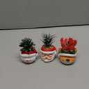 3 Pcs Christmas Artificial Succulent Plants in Pots Resin Mini Fake Flower Planter Santa Reindeer Snowman 4.5 Inch Small Faux Pot Plants Christmas Decorations for Home Indoor Decor
