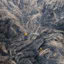 FJZFING Navy Blue Round Rug Ultra-Soft Plush Modern 6x6 Circle Area Rug for Kid's Bedroom, Fluffy Shag Circular Rug for Nursery Room, Non-Slip Home Decor Cute Navy Blue Carpet for Teen's Room