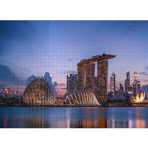 1000 Pieces Jigsaw Puzzle for Adults, Singapore Cityscape Theme, Intellectual Decompression Toy, Educational Collectible, Family & Friends