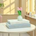 2 Pcs Decorative Books Boxes for Home Decor - Beautiful Linen Faux Box for Modern Home Coffee Table Decor - Fake Books Fashion Storage Boxes for Decoration