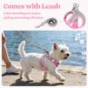 rabbitgoo Dog Harness Small Sized and Leash Set, Step in Soft Light Puppy Vest, Breathable Mesh Pet Harness, Reflective for Safe Easy Walking, Pink & Gray XS