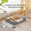 CWAWZ Extra Large Dog Bed, Orthopedic Dog Bed with Cooling Gel Memory Foam, Waterproof XL Pet Bed with Removable Washable Cover, 42" Pet Sofa Couch Dutch Velvet with Bone Toy, Light Gray