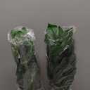 Der Rose 2 Pack Fake Plants Artificial Tropical Faux Plants Indoor for Office Desk Home Sage Green Decor