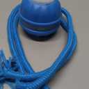 Interactive Dog Toys for Small Dogs  Peppy Pet Ball & Chase Buddy Dog Toy Active Rolling Puppy Toys to Keep Them Busy, Daily Training Interactive Puppy Toys (blue)