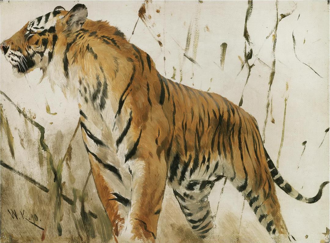 Vintage Tiger Watercolor Print: Animal Wall Art 36X24 