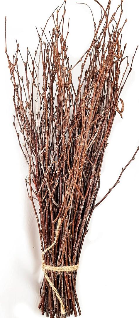 50 pcs Birch Branches for Vases, Decoration for Sale. Natural Birch Twigs for centerpieces. Floral Stick.