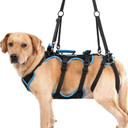 Lafoty Dog Lift Harness for Large Male Dogs, 2in1, Back Leg Support & Mobility Assistance for Senior Dogs, PostSurgery Recovery Sling(Black, Large)