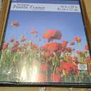 MCS Original Poster Frame 16x20 Black Lightweight Vertical & Horizontal Wall Hanging Large Picture Frame for Posters, Art Prints & Gallery Wall (2-Pack)