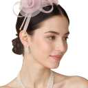 BABEYOND Fascinators Hats for Women - Tea Party Hats Kentucky Elegant Tulle Mesh Feather Bridal Wedding Headband Hair Clip (Pink)