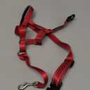 HALTI Headcollar - To Stop Your Dog Pulling on the Leash. Adjustable, Reflective and Lightweight, with Padded Nose Band. Dog Training Anti-Pull Collar for Medium Dogs (Size 3, Red)