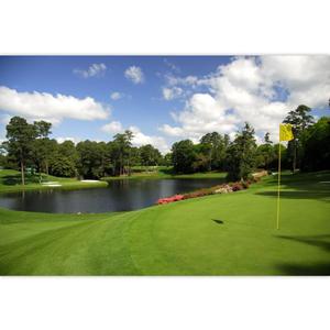 Golf Course Backdrop 10x8ft Green Vinyl Multi-purpose Occasion Type Includes 1x Vinyl Backdrop
