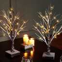 Hairui Pre Lit Tabletop Snow Dusted Tree with Timer 24LED 18IN Battery Operated for Christmas Valentine Party Decoration 2 Set