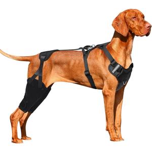 Dog Knee Leg Brace, Dog ACL Brace for Back Hind Rear Leg, for Torn ACL Tear, Luxating Patella (Medium)