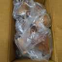 Monarch Rain Chains Pure Copper Akira Rain Chain, 8.5 ft Decorative Rain Catcher Chain for Gutters, Large Rain Chains for Outside, Rain Gutter Replacement Downspout