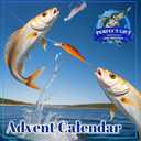 Fishing Advent Calendar 2025, 24 Days Christmas Countdown Fishing Lures & Tackle Gift Set for Men Teen Boys, Xmas Holiday Fish Bait Surprise Box for Adults Fishermen