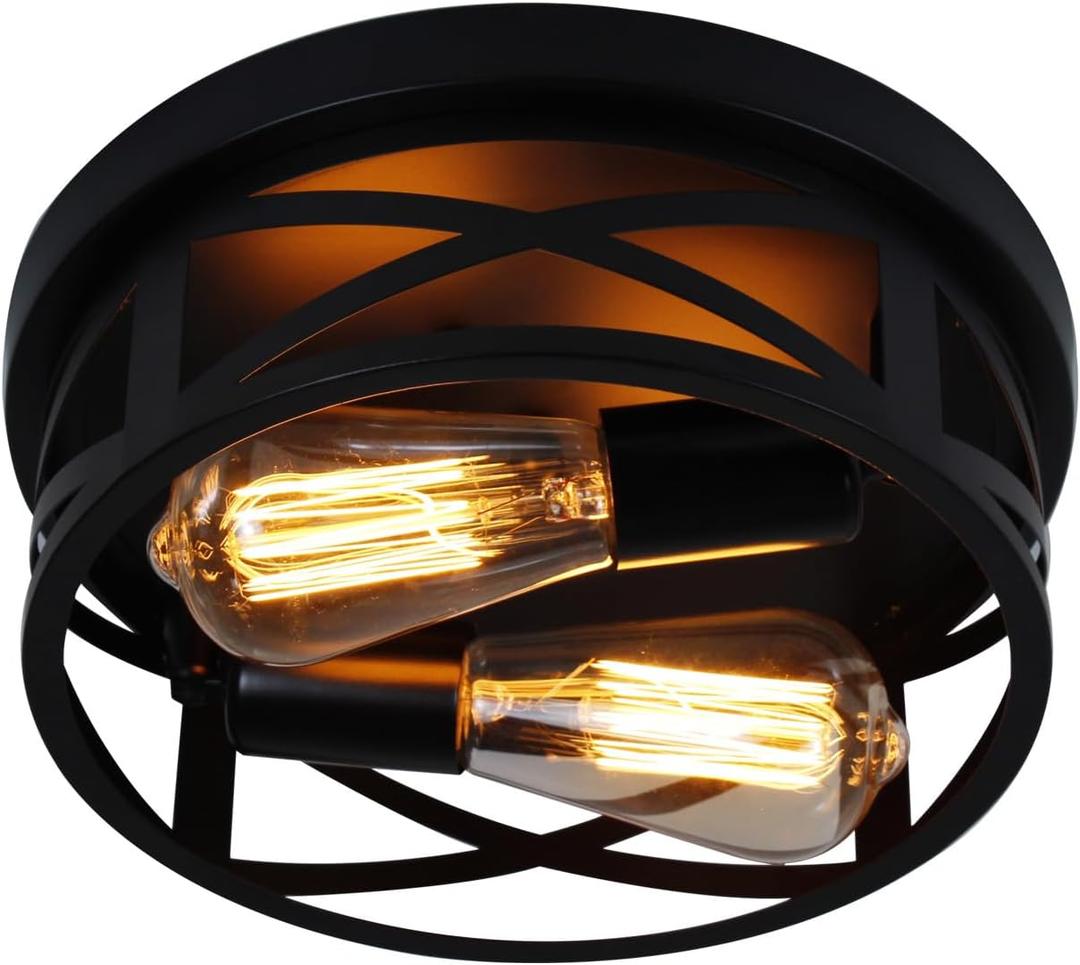 2-Light Flush Mount Ceiling Light Fixtures - 10.6in Adjustable Lamp Head Industrial Metal Cage Light Fixtures Ceiling Mount for Farmhouse Hallway Bedroom Kitchen Entryway (Black)
