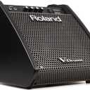 Roland PM-100 Compact Electronic V-Drum Set Monitor, 80-Watt