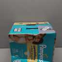 Pampers Swaddlers Diapers, Size 6 (23-44 lbs), 50 Count, Absorbent, Keeps Baby Dry and Comfortable, Skin Safe Disposable Baby Diaper