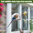 HOMEE Acrylic Bird Feeder,Clear Window Bird Feeders with Suction Cups for Outdoors Feeding Watching for Garden and Yard