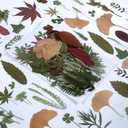 100 PCS Real Dried Pressed Greenery Leaves Natural Plant Herbarium for DIY Resin Mold Jewelry Making Craft (20 Styles)