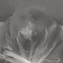 Summer mesh ice Silk Breathable Seat Cushion for Office Chairs,Tailbone Pain Relief Butt, & Coccyx, Hip, Pressure & Sciatica Relief,Office Chair Cushion & Car Seat