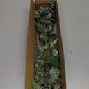 Mixed Eucalyptus Leaves Stems Bulk Artificial Eucalyptus Leaves Sprays Faux Oval Eucalyptus Leaves with White Seeds Stems for Floral Wreath Garland Bouquets Arrangement Wedding Greenery Decoration