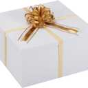 BoxSkivra Extra Large Gift Box with Lid 20x20x10 Inches, Large White Gift Box Giant Gift Boxes with Lids for Presents Packaging for Birthday Surprise, Christmas, Anniversaries, Wedding Party, 1 Count