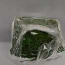 DUSPRO 51"x5.5" Sheet Moss Roll, Peel and Stick Moss Sheets for Crafts, Moss Sheets for Planters, Moss for Plants Indoor, Adhesive Moss Sheets for Fairy Garden, Sticky Moss for Table Decor