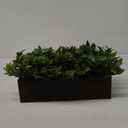 Winlyn 14" Artificial Boxwood Plants in Rectangular Wood Planter Farmhouse Greenery Arrangement Centerpiece Faux Potted Herb Plant for Wedding Dining Room Table Kitchen Windowsill Mantel Shelf Dcor