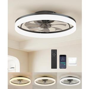 20 Inch Ceiling Fan with Lights, Modern Low Profile Ceiling Fan