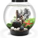 biOrb Classic 15 Acrylic 4-Gallon Aquarium with White LED Lights Modern Compact Tank for Tabletop or Desktop Display, Black-Trimmed Tank