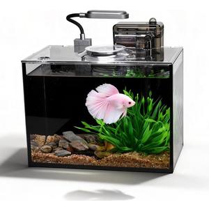 Betta Fish Tank,Aquarium Starter kit,2.8 Gallon Fish Tank Kit,Small Aquarium,Small Fish Tank,Ultra-Clear Nano Aquarium with Light,Filter,Cobblestone,Sand and Artificial Plants