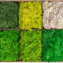 6 Colors Preserved Moss-16.9 OZ Natural Reindeer Moss-Moss for Crafts, Potted Plants Floral Arrangements Home Artistic Garden Decoration