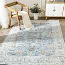 jinchan Area Rug 3x5 Entryway Rug - Washable Vintage Boho Floral Floor Cover Lightweight Low Pile Indoor Doormat Thin Non-Slip Carpet for Kitchen Living Room Bedroom Dining Room Office Light Blue (Distressed Blue Multi)