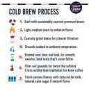 High Brew Coffee, Cold Brew Coffee, Double Espresso, 8 Fl Oz, Ready-To-Drink (Pack of 12)