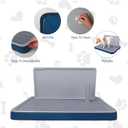 Male Dog Pee Pad Holder with High Wall, Indoor Potty Tray for Medium/Large Dogs, Reusable Large Training Pad Holder with Splash Guard