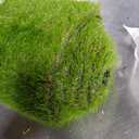 Artificial Grass Rug Outdoor Indoor 6FTX12FT Fake Grass Carpet Green Synthetic Grass Pet Turf Realistic Faux Grass Rug with Drain Holes for Garden Lawn Landscape Balcony Home Decor Patio